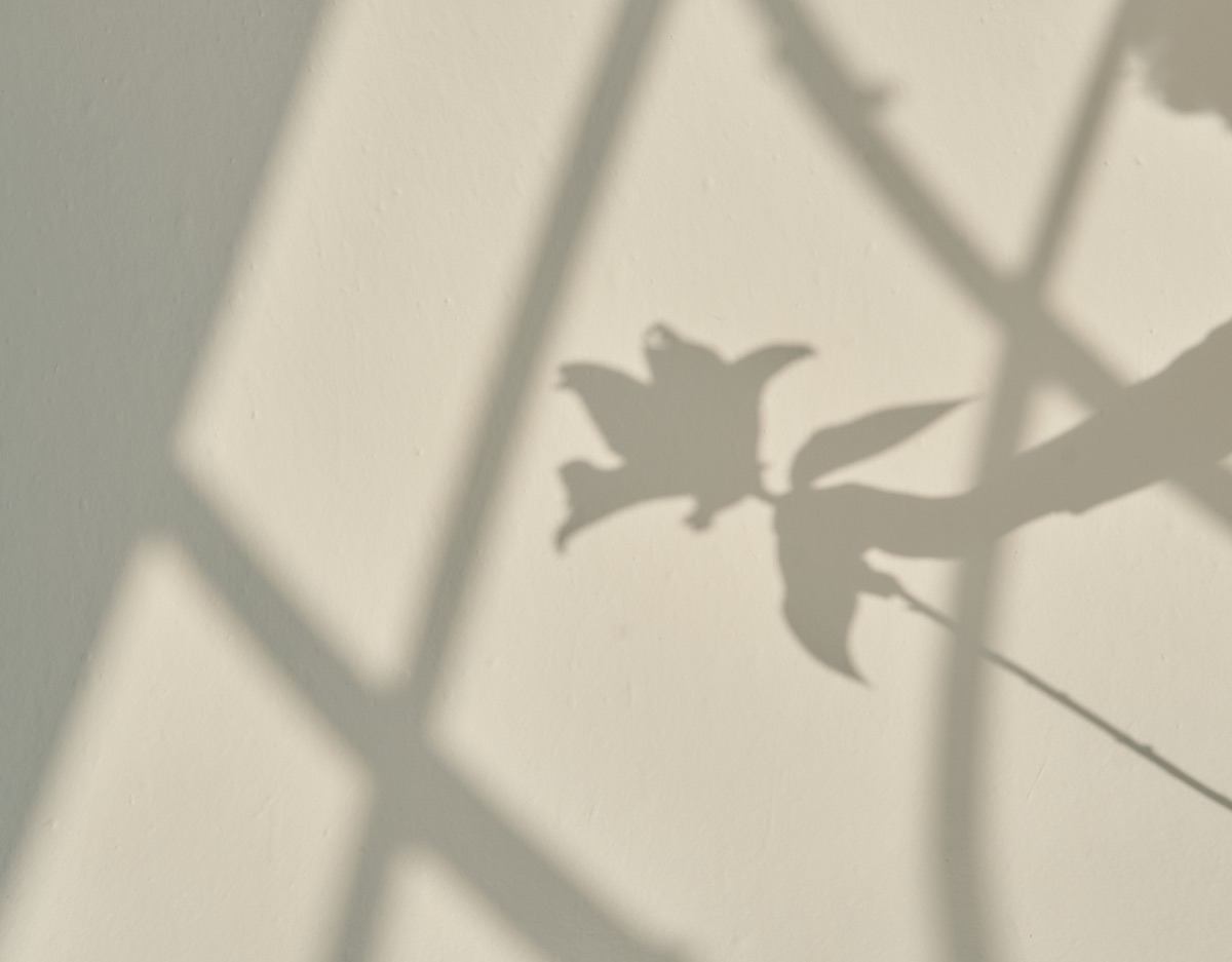 Systems-based approach to preconception preparation