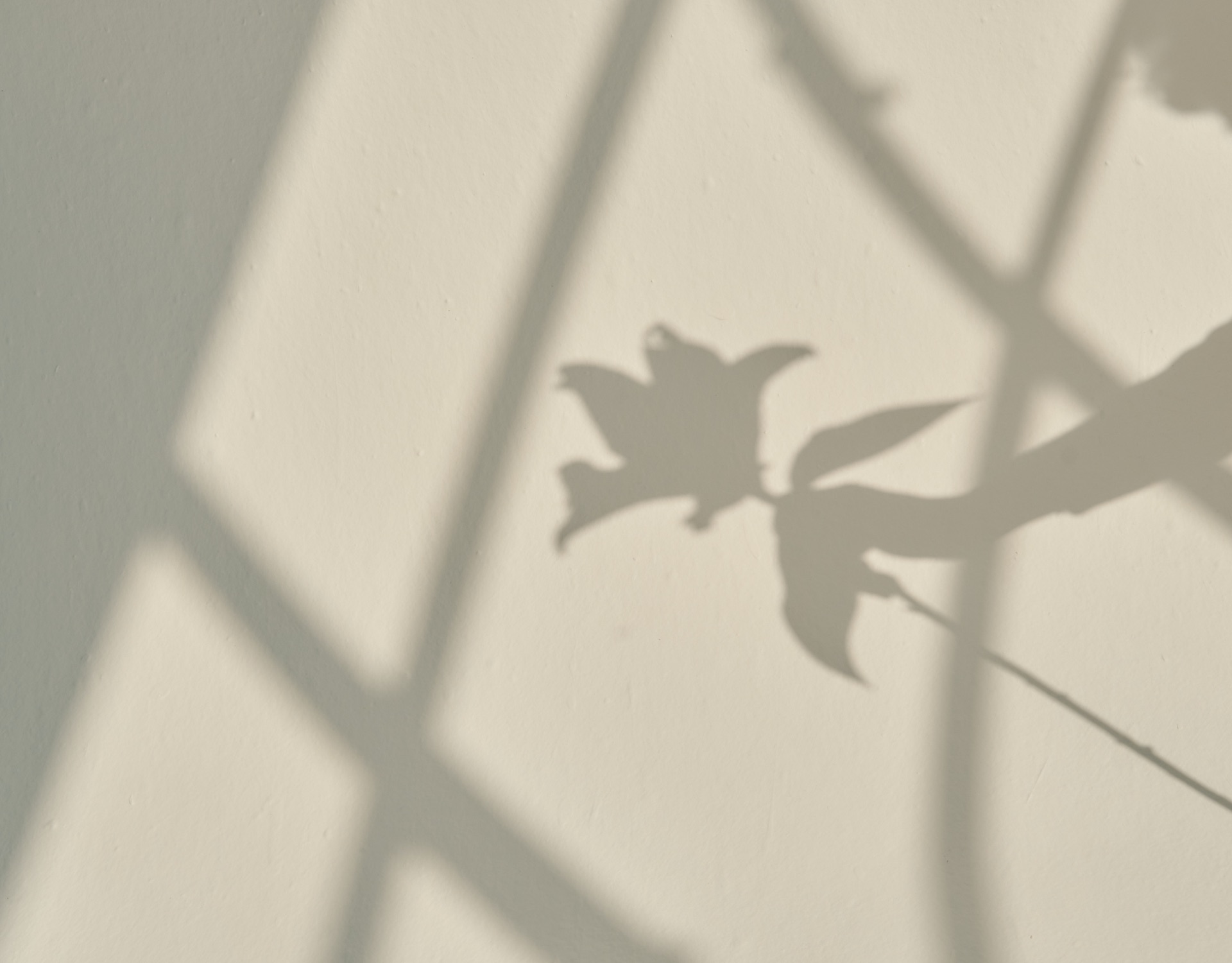 Evidence-based prepregnancy research methodology